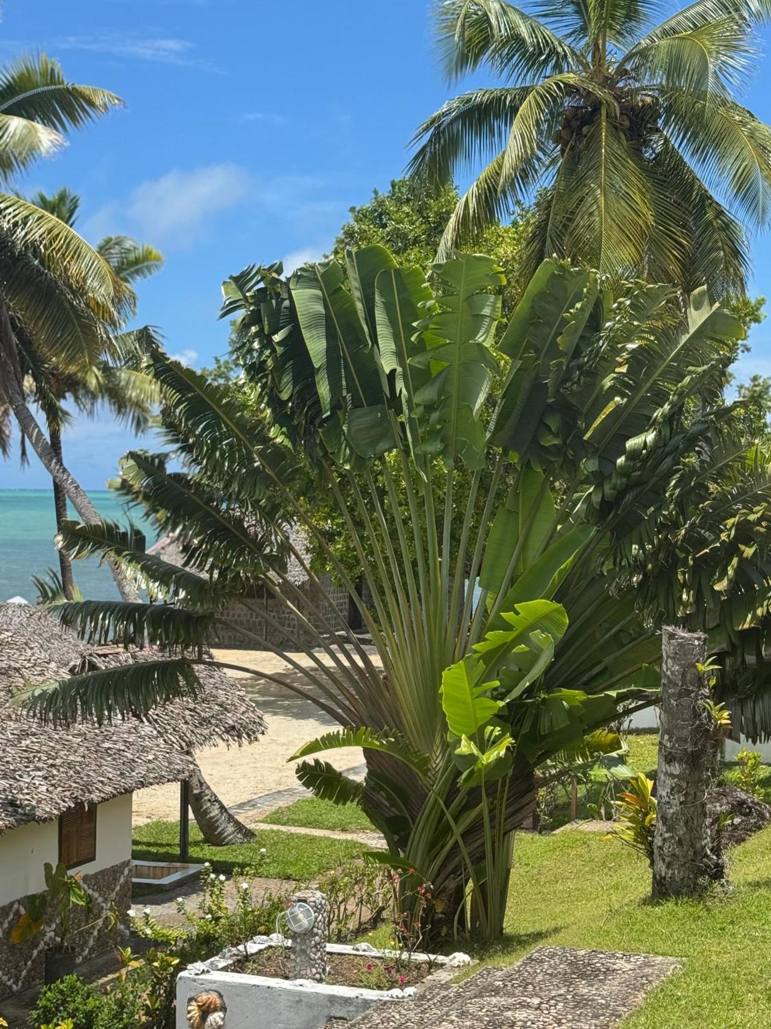 Mora Mora Resort Ankoalamare Экстерьер фото